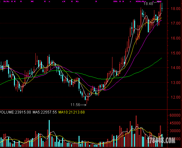 大农村医保受益股+低估值蓝筹医药股 - 牛股预