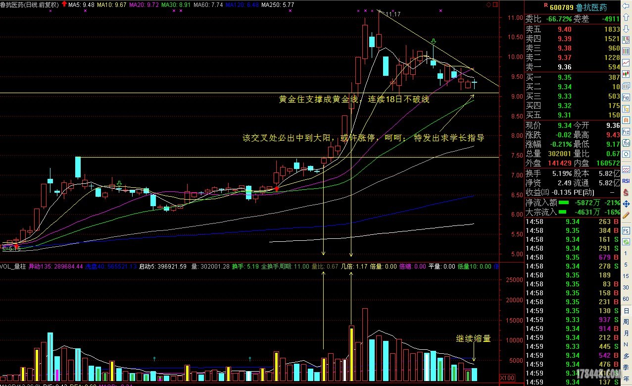 600789涨停分析,求指导! - 新人练习 - 股海明灯