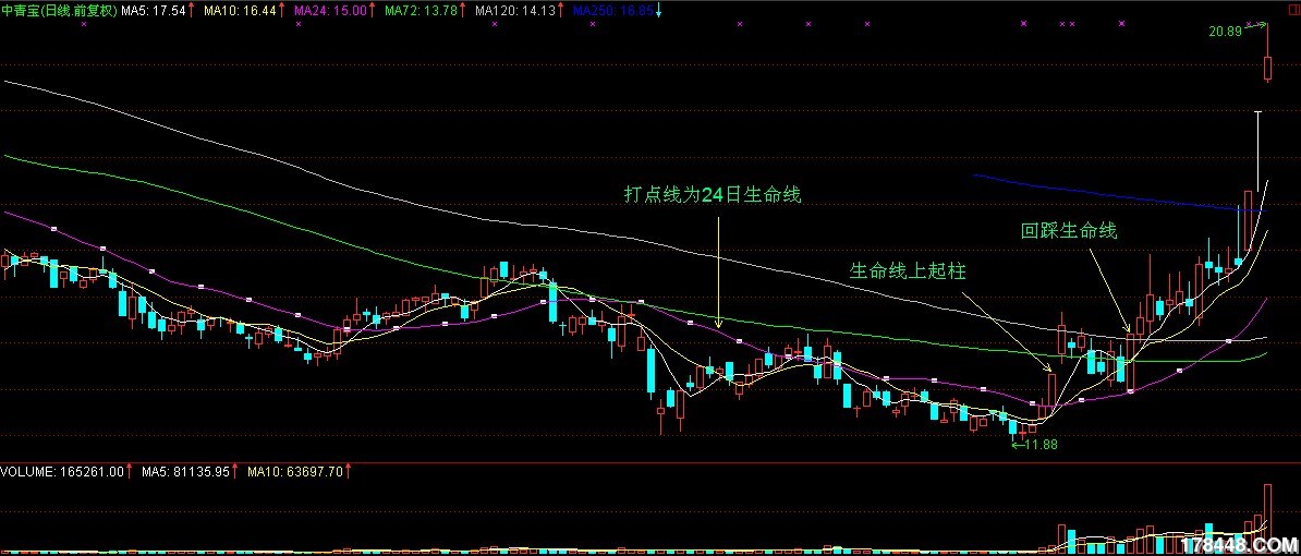 收入证明_华夏收入股票288002(3)