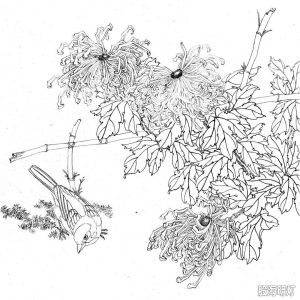 我的相册