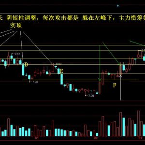 黑马王子操盘手记（二）图谱  上