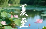 量海明灯十七载——从惊鸿一瞥到薪火相传