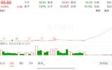 一次20个板大牛股
