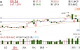 藏格矿业能否走牛，师兄请指教