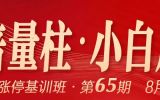 0813透视：牛市已确认，小白想骑牛吗？