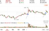 高量阳黄金柱     缩二一