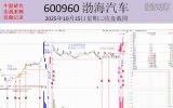 渤海汽车牛股风采
