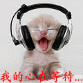 LW9(@M3C}J8I`VIM$_X3PWF.gif