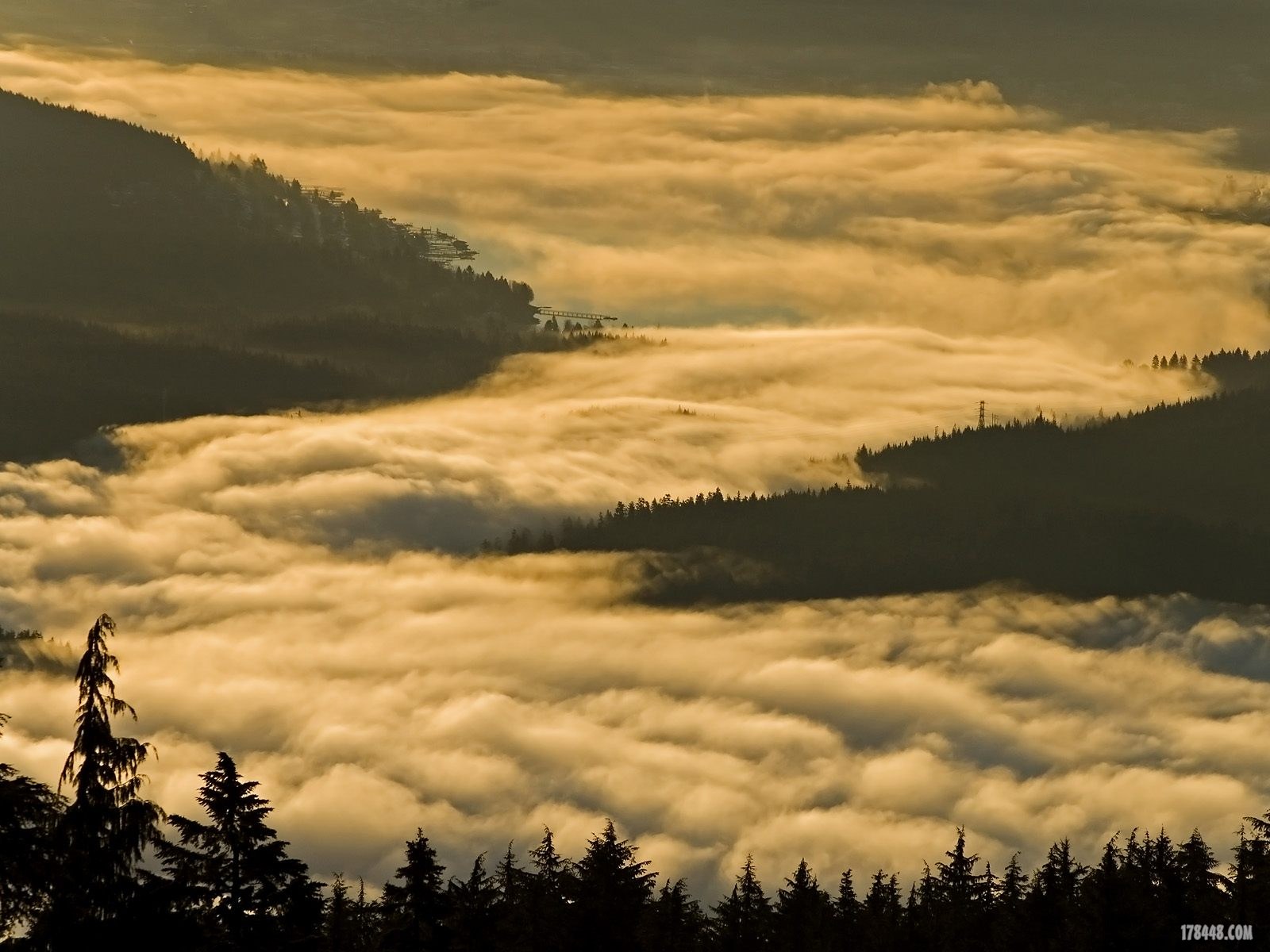 Webshots_83001.jpg