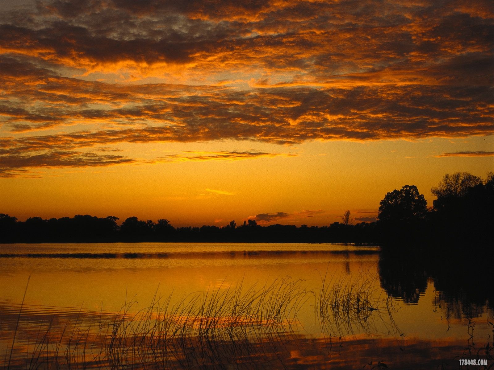 Webshots_78004.jpg