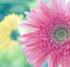QQ截图20120830212216.jpg