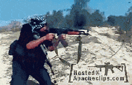 m1.gif