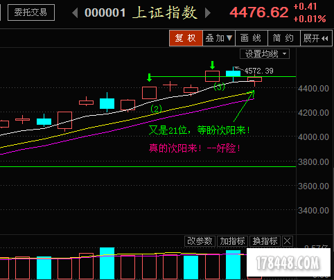 真的次阳来.png