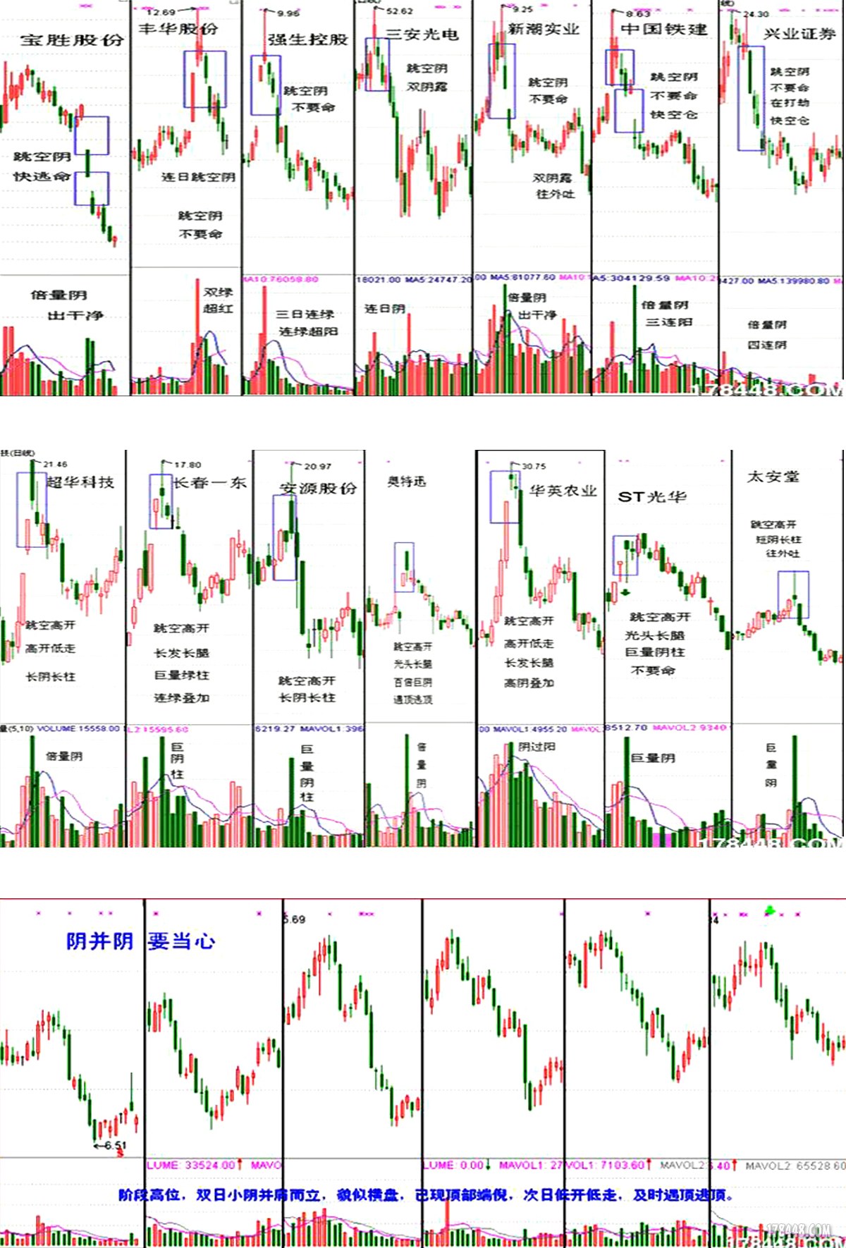 九阴真经-------原著黑马王子张得一
