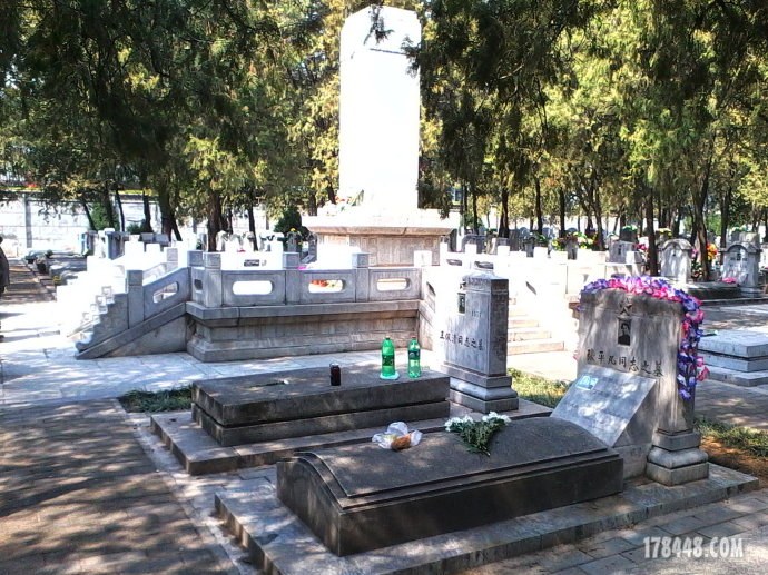 b8.jpg
