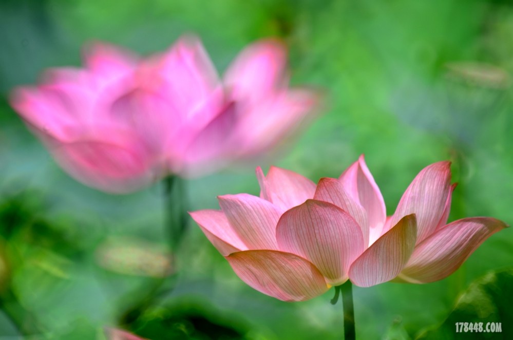 DSC_8829_副本.jpg