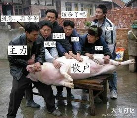 aHR0cDovL3A0LnNvLnFoaW1nLmNvbS9zZHIvXzI0MF8vdDAxOTE5NmU1MzkyZTI0ODQ3OS5qcGc=.jpg