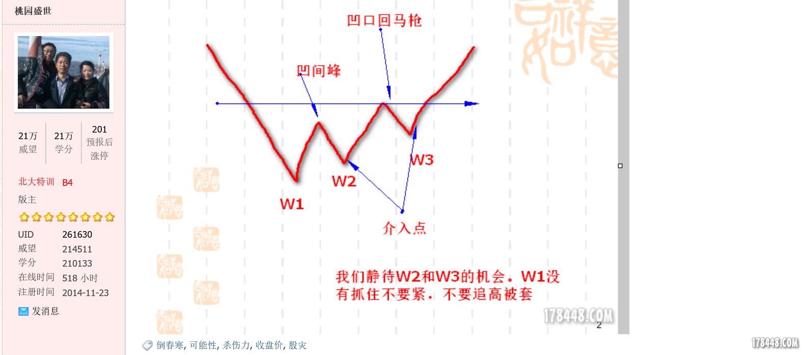 盛世桃源的精彩分析