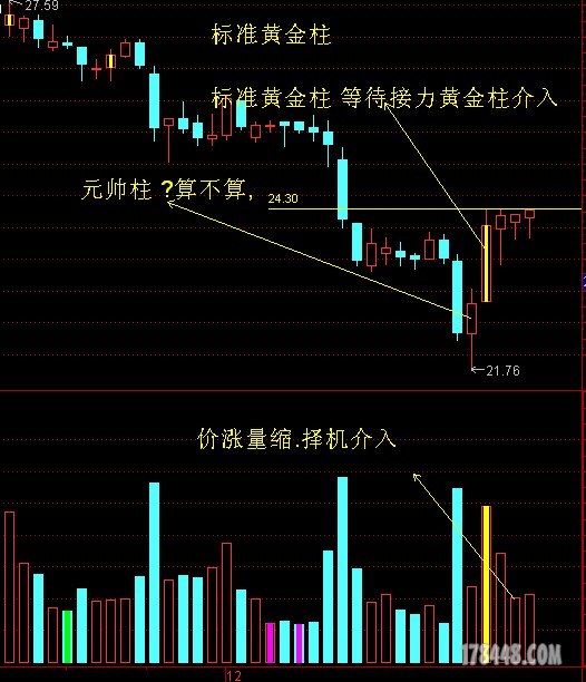 黄金柱.JPG