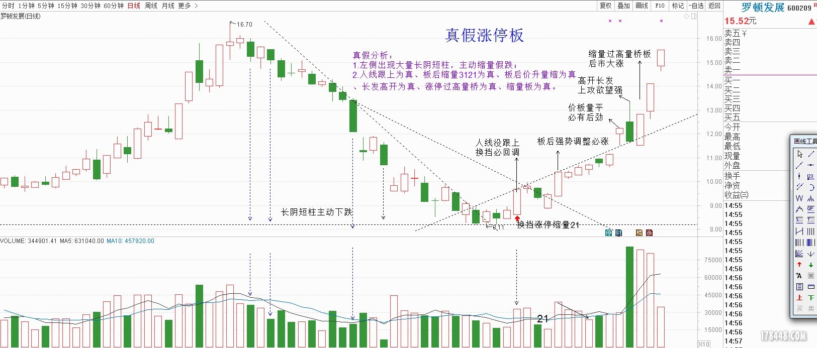 罗顿发展.JPG