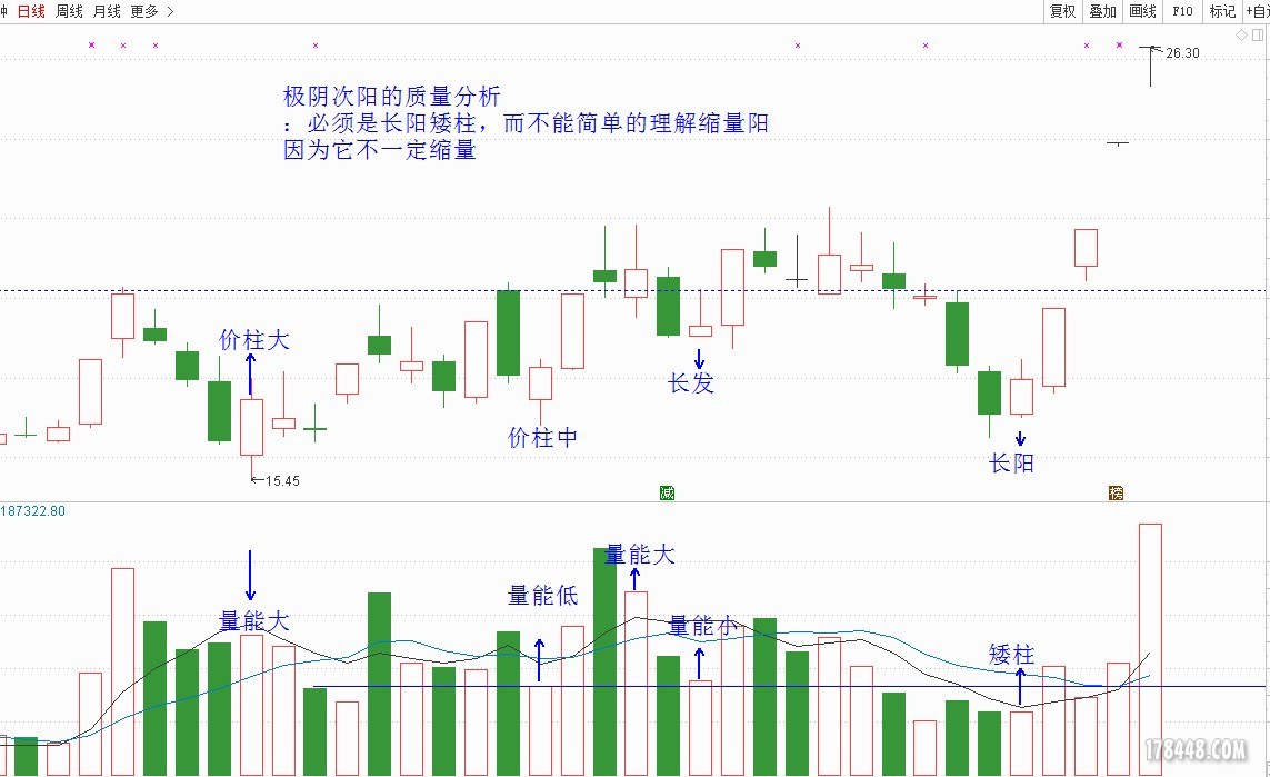 同力水泥.JPG