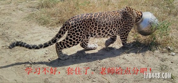 1449626896_IMG_0004.JPG