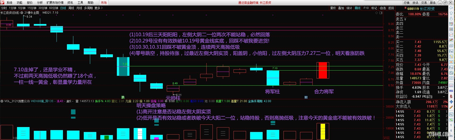 长江投资作业