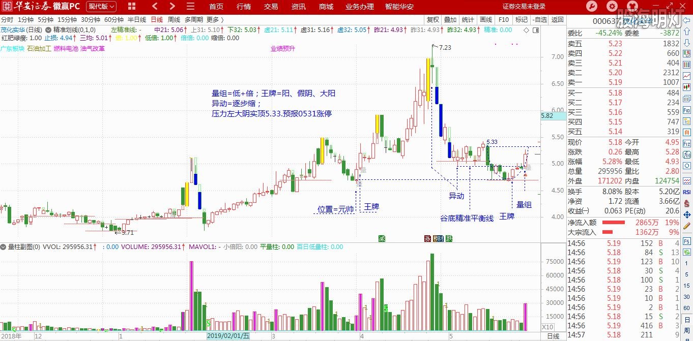 茂化实华.JPG