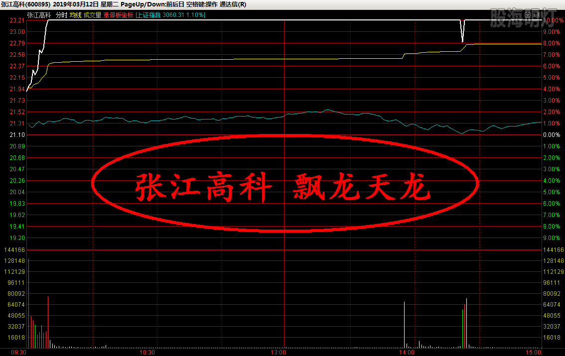 张江高科 飘龙.png