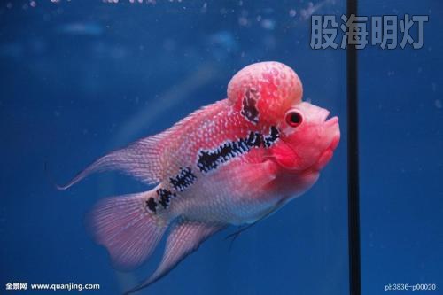 试