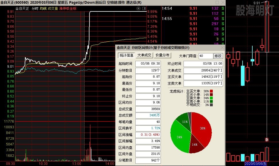 金自天正 飘龙.jpg