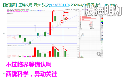 张宁1.png