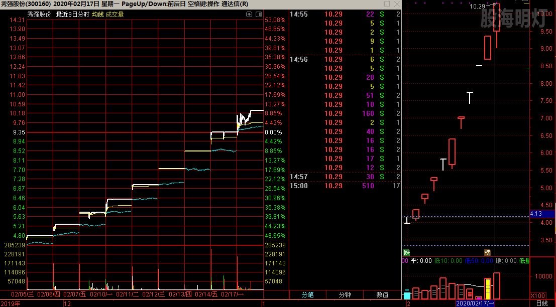 秀强股份 10连板.jpg