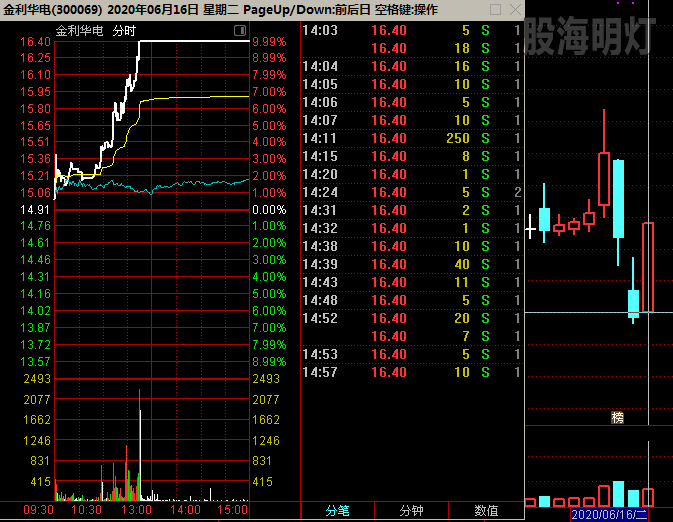 金利华电 飘龙.png