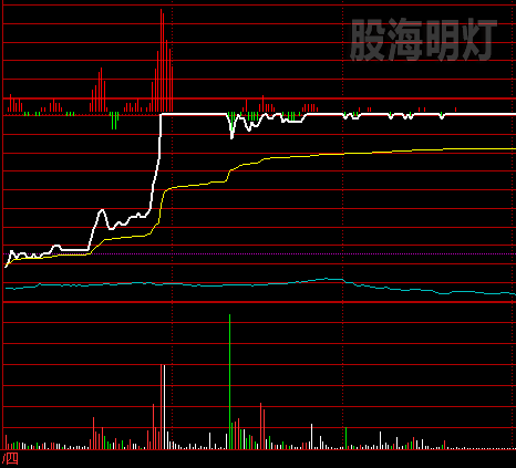 力帆股份 飘龙.png