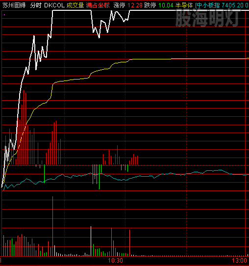 苏州固锝 飘龙天龙.png