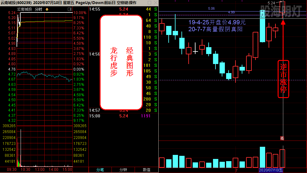 云南城投 龙行虎步经典图形.png
