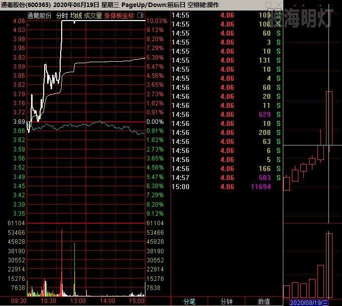 通葡股份 经典虎步.jpg