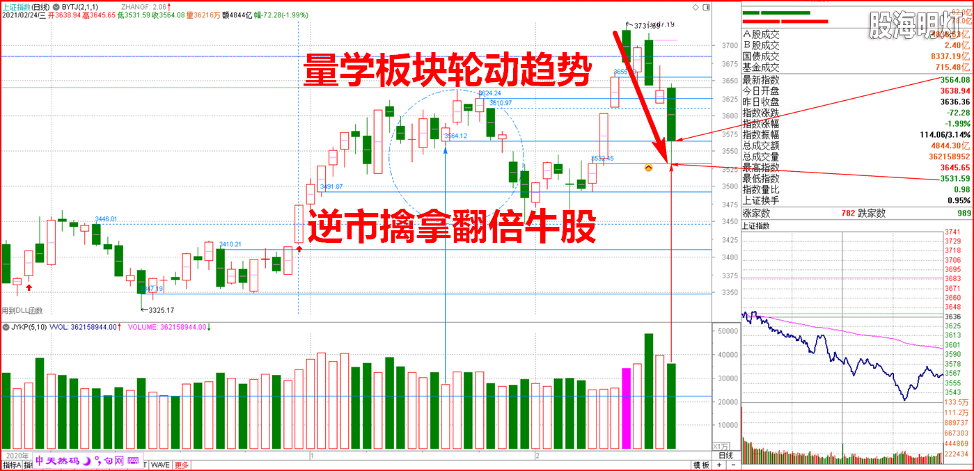 2021-02-24上证小图 如期大跌 长阴短柱.png