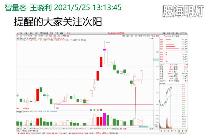 15陕西黑猫.png