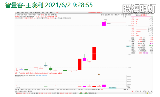 11新纶科技.png