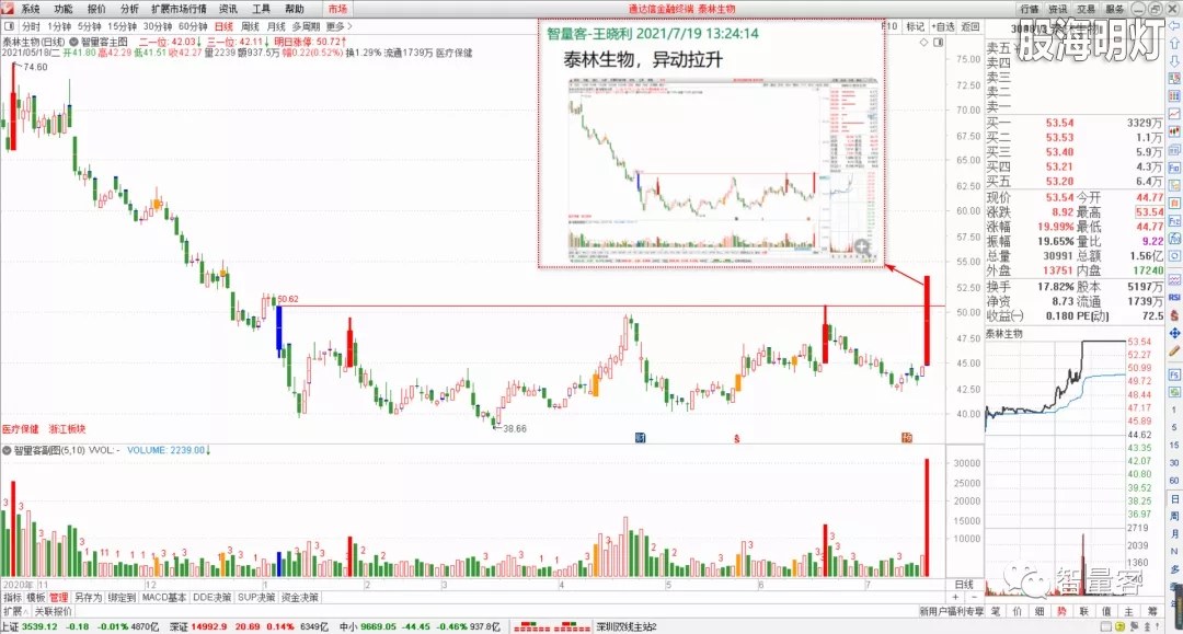 智量客量学基训班研究个股 2.webp.jpg