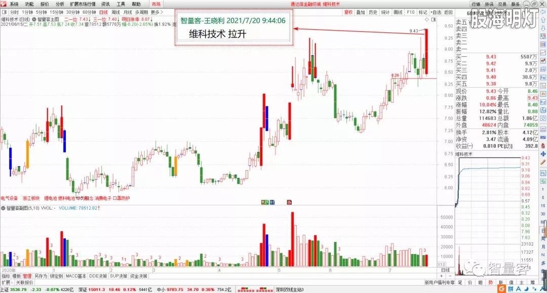 智量客量学基训班研究个股 4.webp.jpg