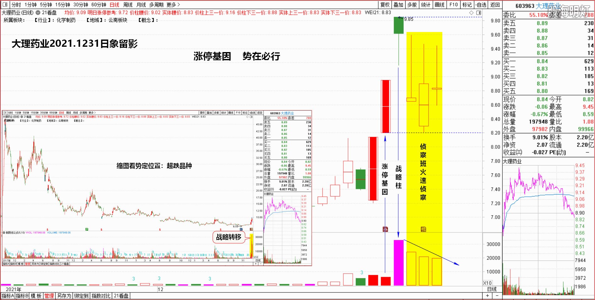 12.31大理药业.jpg