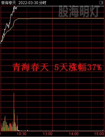 青海春天 5天涨幅37%.jpg