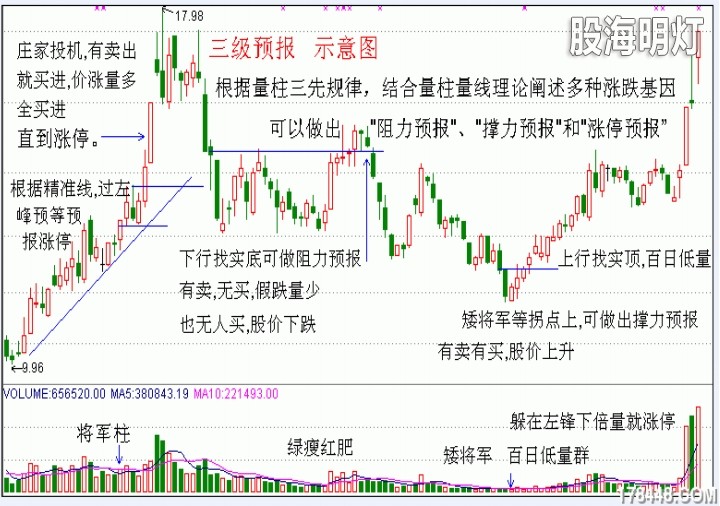 三级预报