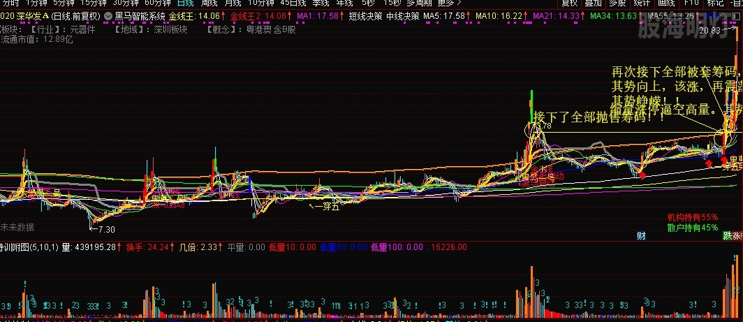 涨停拉升，回撤吸筹接回全部筹码.png