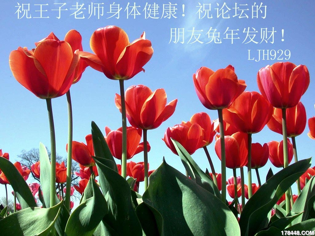 花1.jpg 拷贝.jpg