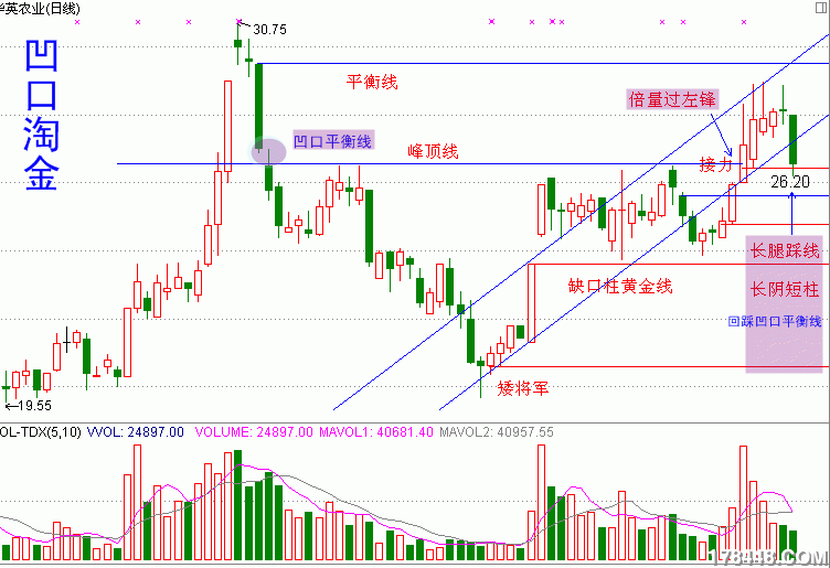 回踩黄金十字线,缩量大幅下跌