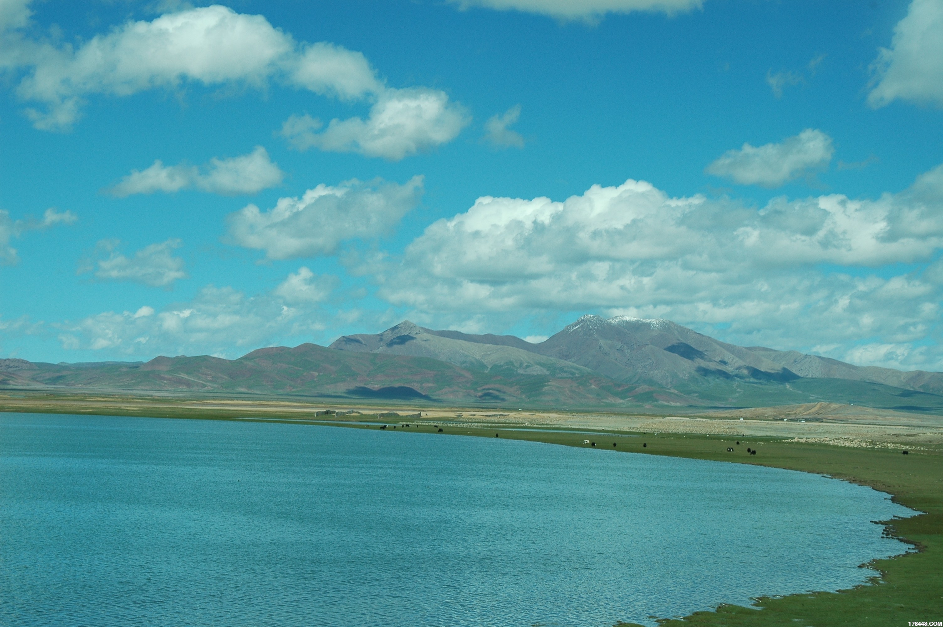 DSC_8927.JPG